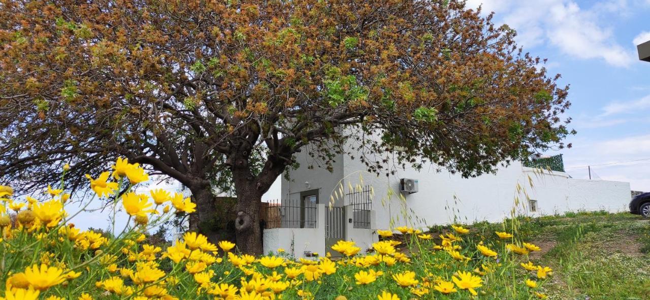 Traditional Suburbs Maisonette コス・タウン エクステリア 写真