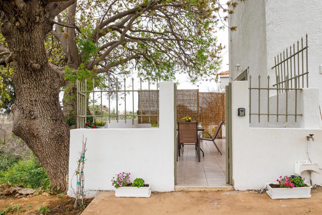 Traditional Suburbs Maisonette コス・タウン エクステリア 写真