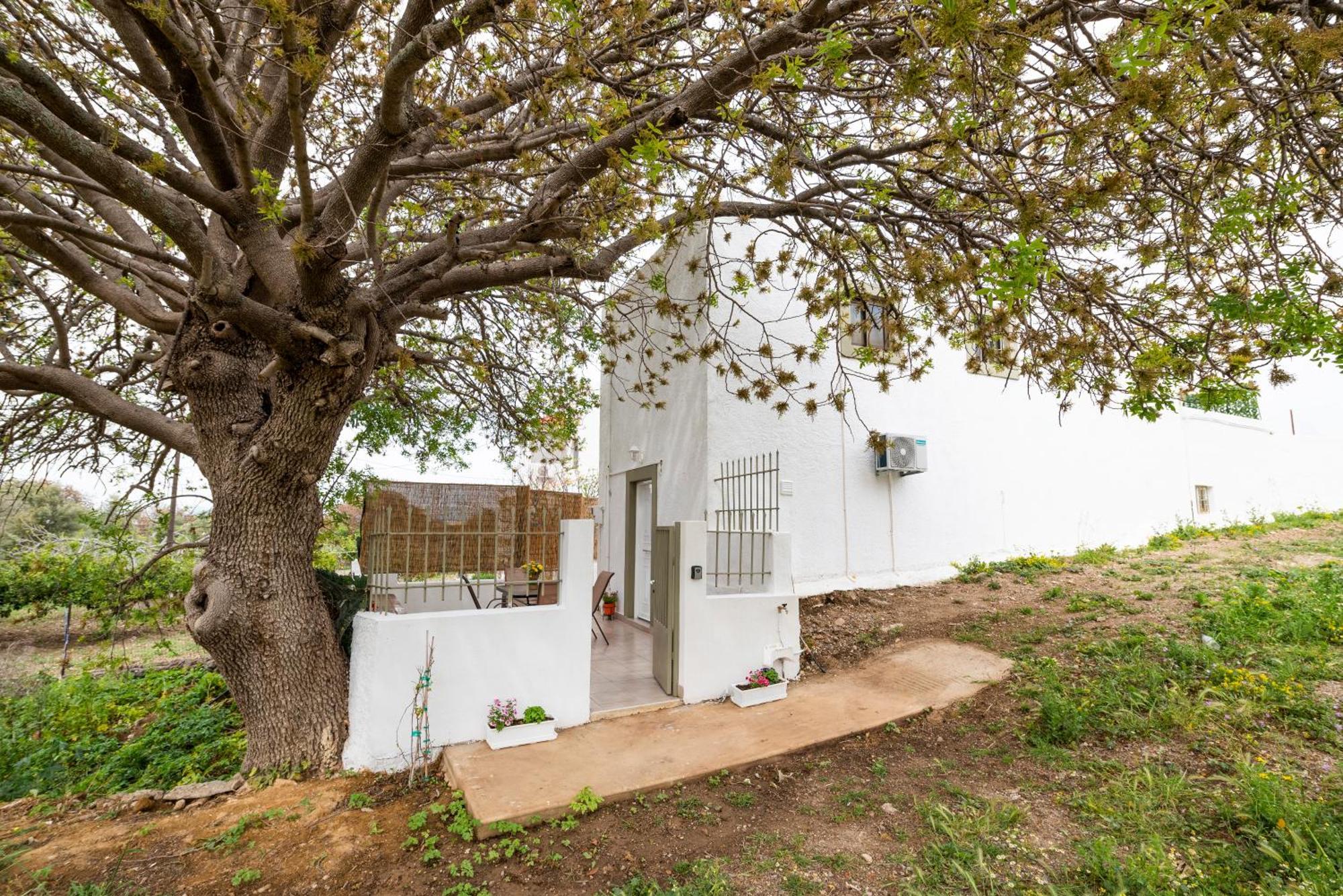 Traditional Suburbs Maisonette コス・タウン エクステリア 写真